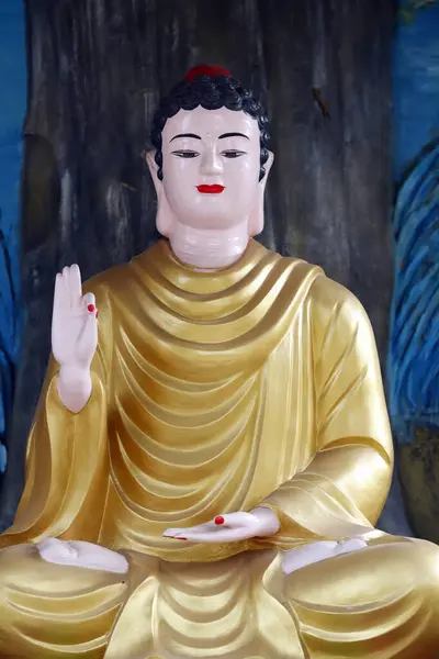 Lange Duc Boeddhistische Tempel Boeddha Zit Meditatie Houding Bodhi Boom — Stockfoto