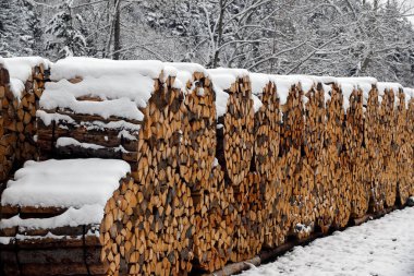 Kışın kar altında odunları ikiye ayrılmış odun yığını. İsviçre.