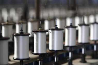 Geleneksel bir ipek fabrikası. İpek iplik kutuları. Tan Chau. Vietnam. 