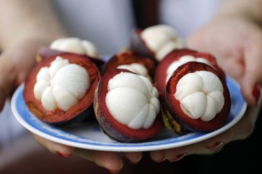 Mangosteen meyvesi bir tabakta bölündü. Tatlı sulu beyaz segme ile tropik meyve. Vietnam. 