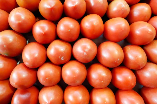 Organic Tomatoe Stall Atarazanas Food Market Malaga Spain — Stock Photo, Image