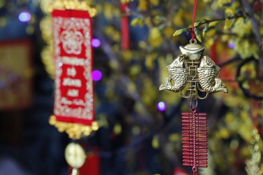 Çin Yeni Yılı. Vietnam Tet kutlaması için süslenmiş sarı ağaç. Fransa. 