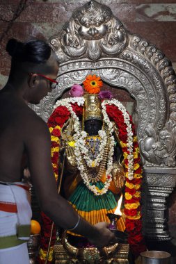 Sri Krishnan Hindu tapınağı. Hindu rahip (Brahmin) puja töreni yapıyor. Durga Hindu Güç ve Koruma Tanrıçası. Singapur. 