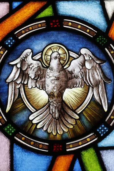 Song Vinh Church Stained Glass White Dove Representing Holy Spirit — Stock Photo, Image