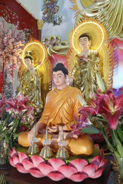  Phu Son Tu Budist tapınağı. Ana sunak. Shakyamuni Buda heykeli. Tan Chau. Vietnam.