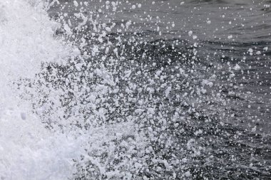 Mekong nehrinde sürat teknesinin yolu. Vung Tau. Vietnam.