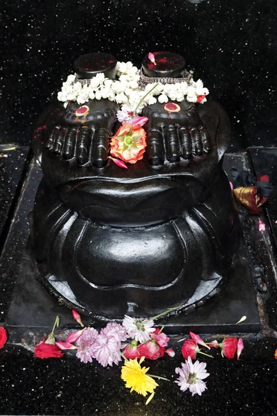 Sri Veeramakaliamman Hindu tapınağı. Hindu tanrısı. Singapur. 