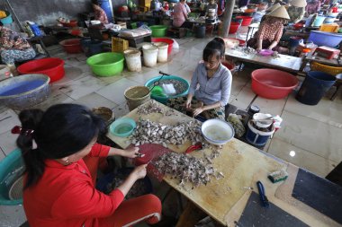 Küçük bir balık fabrikasında çalışan bir kadın. Balık filetosu hazırlıyorum. Vung Tau. Vietnam.