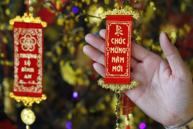 Çin Yeni Yılı. Vietnam Tet kutlaması için süslenmiş sarı ağaç. Fransa. 