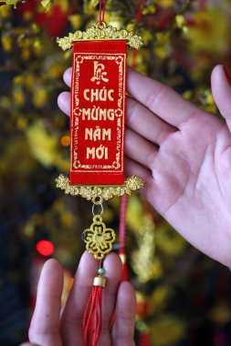 Çin Yeni Yılı. Vietnam Tet kutlaması için süslenmiş sarı ağaç. Fransa. 