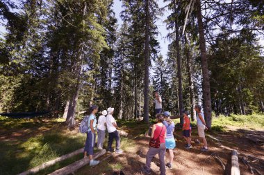 Ormanda Barok temalı müzikal yürüyüş. Kemancı. Kordon. Fransa.