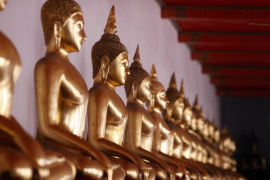 Wat Pho tapınağı. Altın Buda heykelleri sırası. Meditasyon. Bangkok 'ta. Tayland.