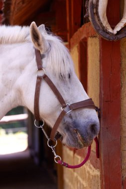 Guedelon Kalesi, ortaçağ bölgesi. Orta Çağ 'da kullanılan teknik ve materyalleri kullanan bir şato inşaatı. Treigny. Fransa.