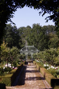 Peyzaj bahçesindeki renkli yaz çiçekleri. Burgonya şarabı. Fransa. 