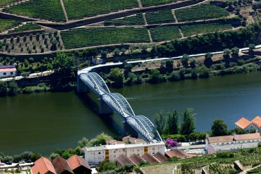 Alto Douro Şarap Bölgesi 'nin göbeğindeki Douro Vadisi' ndeki üzüm bağları. Pinhao. Portekiz. 