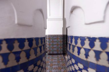 Büyük Paris Camii. Mimarlık. Fransa.