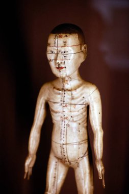 Guimet museum.  traditional chinese medicine.  Acupuncture manikin.  Paris. France. clipart
