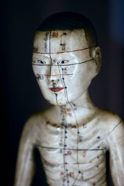 Guimet museum.  traditional chinese medicine.  Acupuncture manikin.  Paris. France. clipart