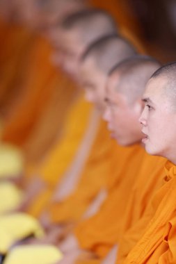 Phuoc Hue Budist tapınağı. Budist ayininde rahipler ana salonda dua ediyorlar. Vietnam. 