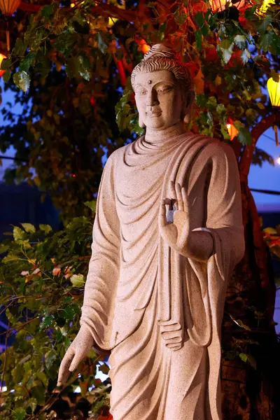 Quang Khanh Pagode Stehende Buddha Sakyamuni Statue — Stockfoto