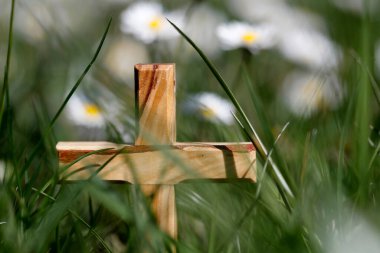 Çimenlerin üzerinde ağaçtan haç ve çiçekler.. 