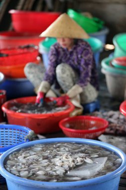 Vung Tau balık pazarı. Kadın taze balık avlıyor. Vietnam. 