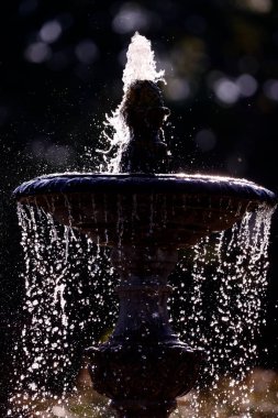 Eski çeşmelerle dekore edilmiş ev bahçesi. Burgonya şarabı. Fransa. 
