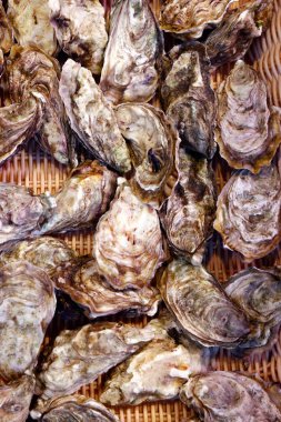 Tarihi Bolhao Pazarı. Taze deniz ürünleri. İstiridye. Porto. Portekiz. 