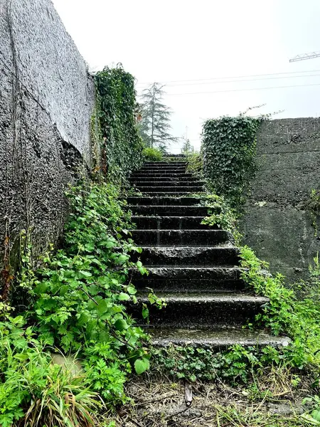 Treppe Zum Himmel Mit Grün — Stockfoto