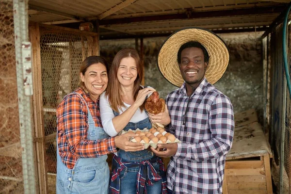Verrukte Multiraciale Man Vrouwen Met Kip Eieren Glimlachend Kijkend Naar — Stockfoto