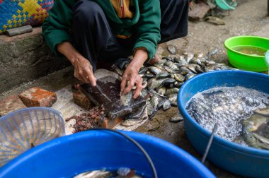 Mahsul adam yerel markette otururken taze balık yakaladı.