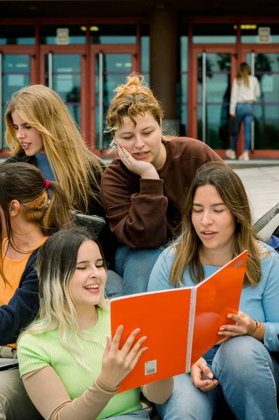 多人種の友人に教科書を見せ 大学への階段で一緒に試験のために学び 準備しながら笑顔の女性学生を喜ばせます — ストック写真