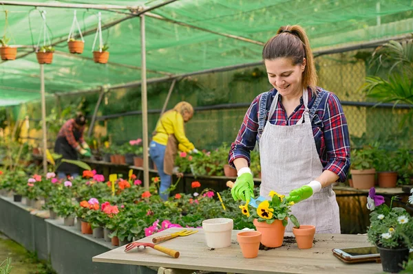 Jardineiro Feminino Meia Idade Positivo Camisa Quadriculada Avental Sorrindo Usando — Fotografia de Stock