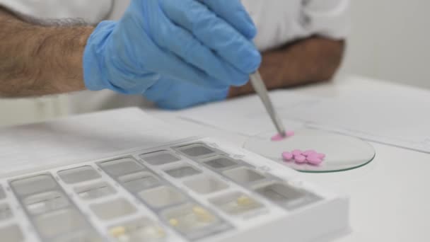 ピンクの錠剤をラボでの作業中に容器に入れながら ピンセットを使用して手袋で作物の匿名の男性化合物薬剤師のリアルタイムハンドヘルドショット — ストック動画