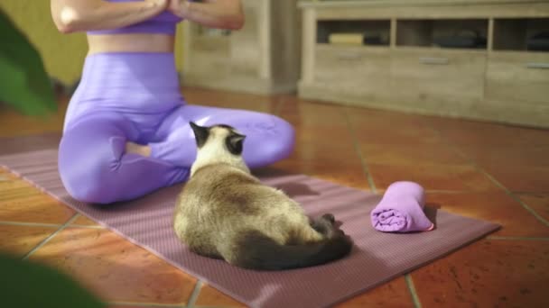 Взгляд Спокойную Зрелую Самку Падмасане Коврике Йоги Кошкой Утренние Часы — стоковое видео