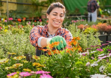Önlüklü, gülümseyen ve serada çalışırken kameraya bakan pozitif kadın bahçıvan.