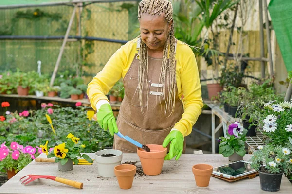 Black female gardener in apron with braided hair smiling and putting soil into pot while standing near table and working in greenhouse