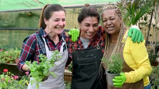Diverse Frauen Mit Topfpflanzen Umarmen Sich Und Lachen Über Lustige — Stockvideo