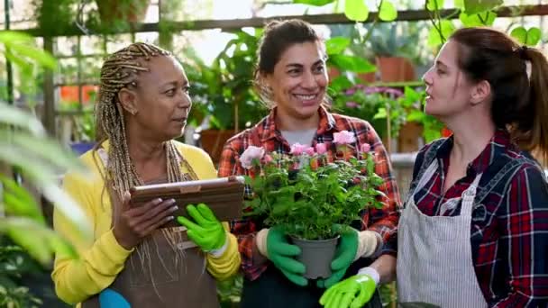Jardiniers Féminins Multiraciaux Avec Des Fleurs Pot Une Tablette Riant — Video