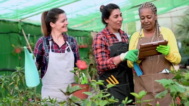 Happy Diverse Women Watering Plants Discussing Data Tablet While Working — Stock Video