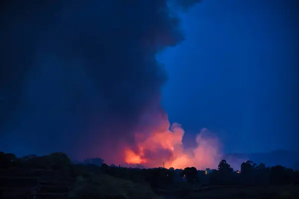 Yeşil Orman Ağaçlarının Yıkıcı Manzarası Tahrip Edici Ateş Akşam Vakti — Stok fotoğraf