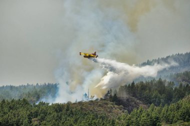 Sarı uçak bulutlu gökyüzünün altında uçuyor ve yaz günü Tenerife 'de yeşil ormanlarda yangın söndürülüyor.
