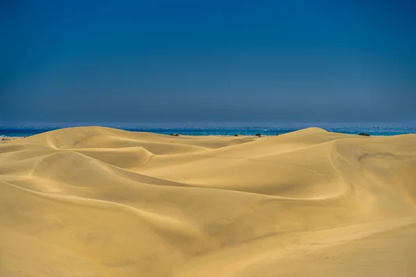 Panoramiczny Widok Pustynny Krajobraz Wydmami Pod Błękitnym Niebem Słoneczny Dzień — Zdjęcie stockowe