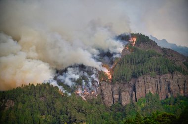 İspanya 'nın Kanarya Adaları' ndaki Tenerife 'deki Orotava Vadisi ve duman bulutlarıyla kaplı Teide sıradağlarının insansız hava aracı görüntüsü.