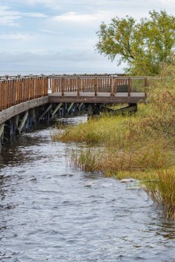 Bucktown Bataklığı Ponchartrain Gölü 'nün güney kıyısında yer alır ve doğal yaşam alanına dönüş önceliğini belirler..