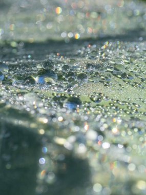 Büyük yeşil bir yaprağın yüzeyini kaplayan ışıltılı yağmur damlaları..