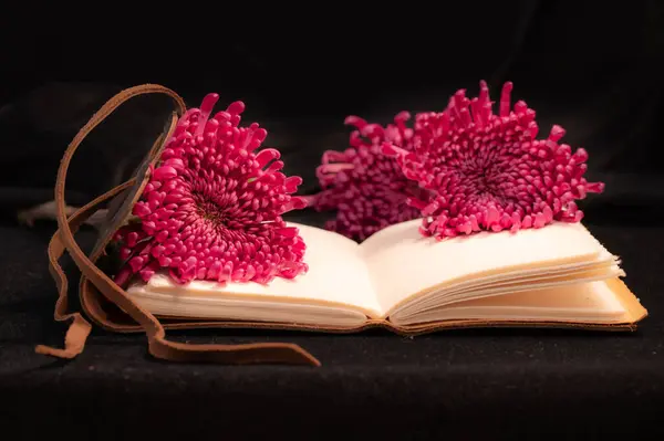 A brown leather bound journal with cream colored pages and three pink flowers.