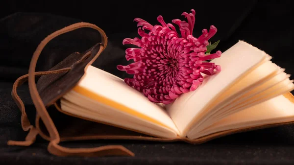 Closeup of an open, brown leather bound journal with a dark pink flower in its center.