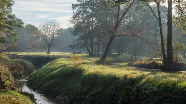 A creek runs through an East Texas landscape of woodland and open meadow.