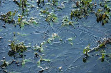 Donmuş bir gölette ilginç desenler var..